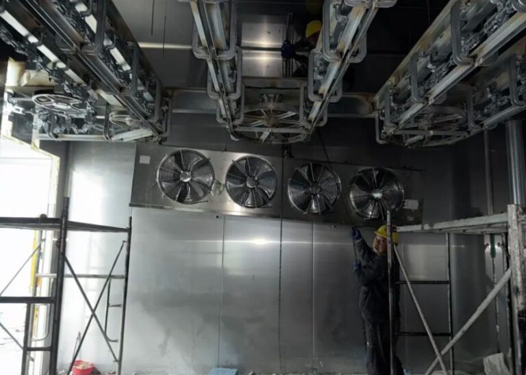 Cost Effective Fruits and Vegetables Cold Storage Built by China Construction Specialists